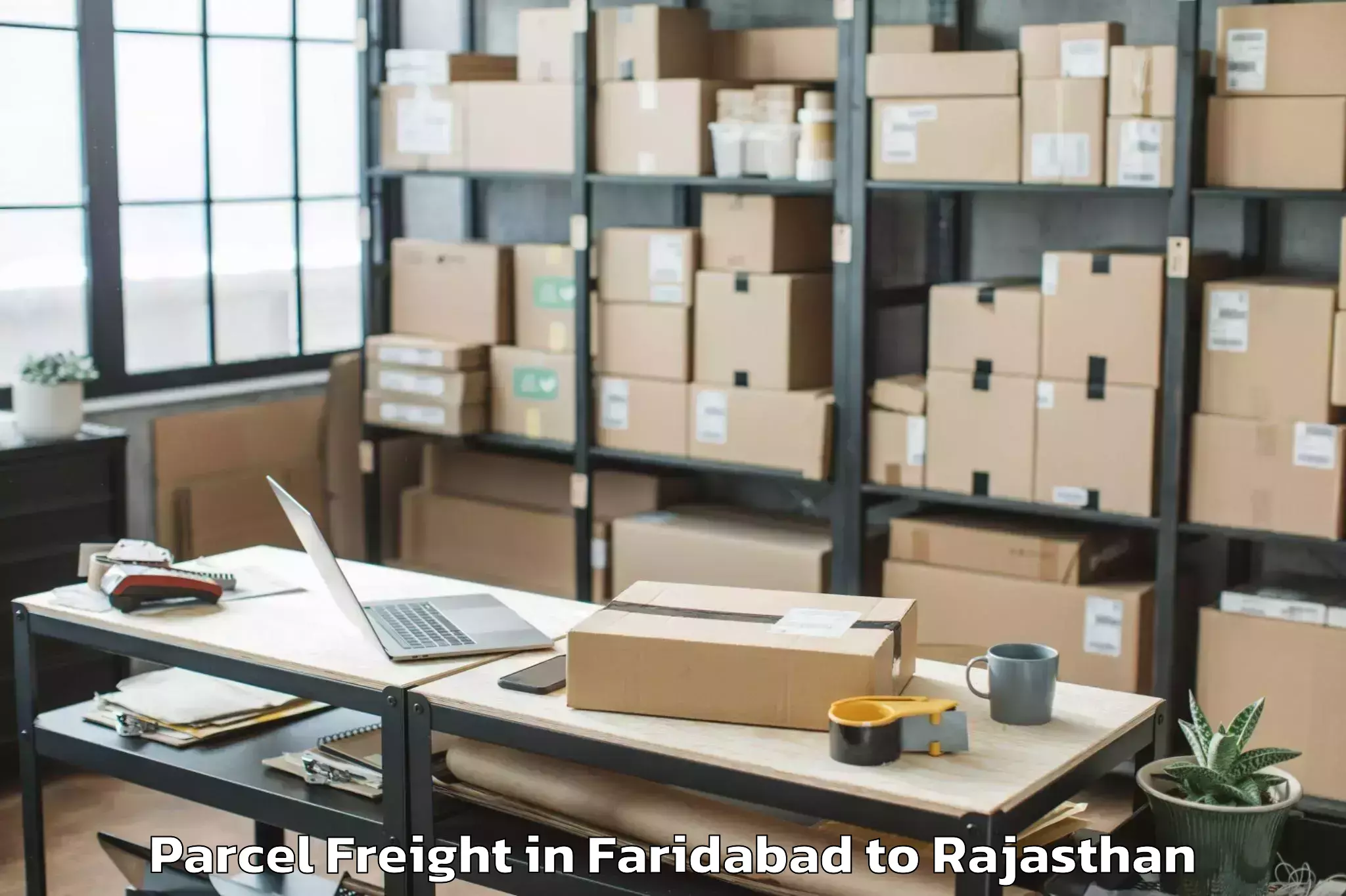 Quality Faridabad to Raisinghnagar Parcel Freight